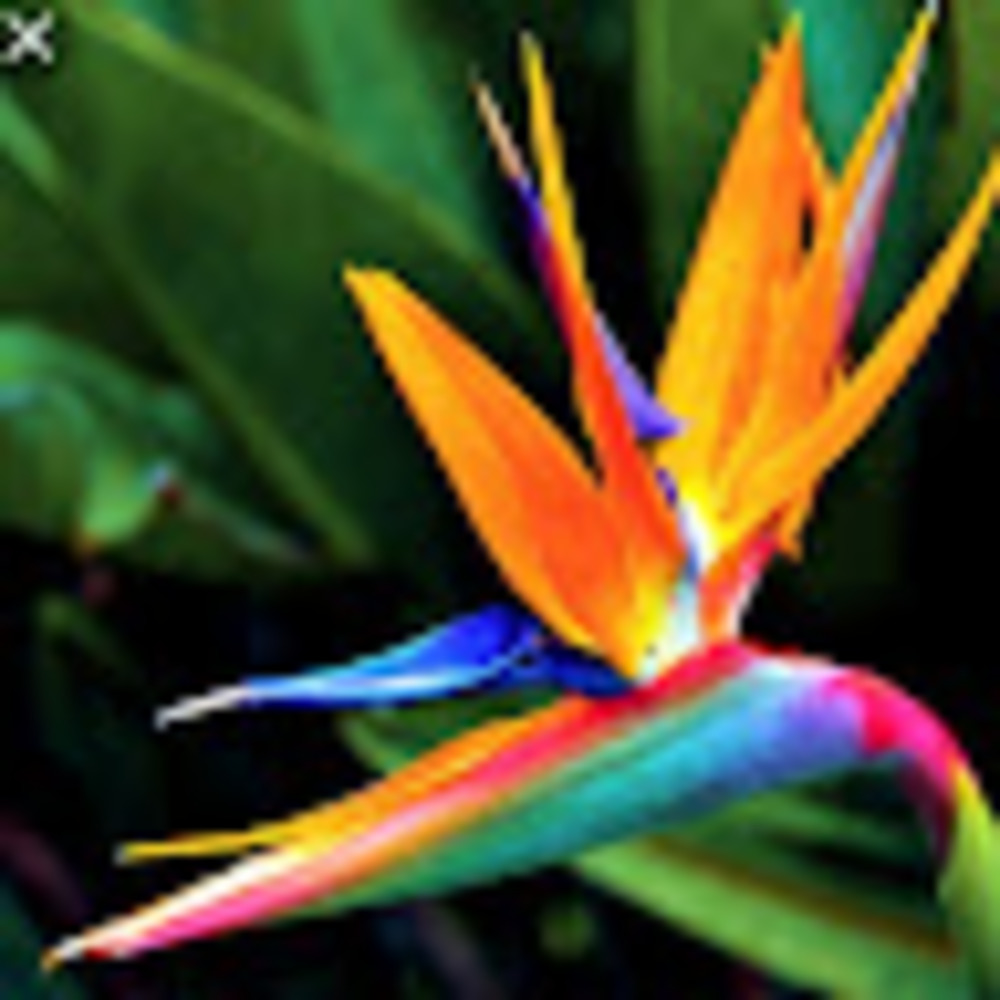 Meet your Posher, Monica